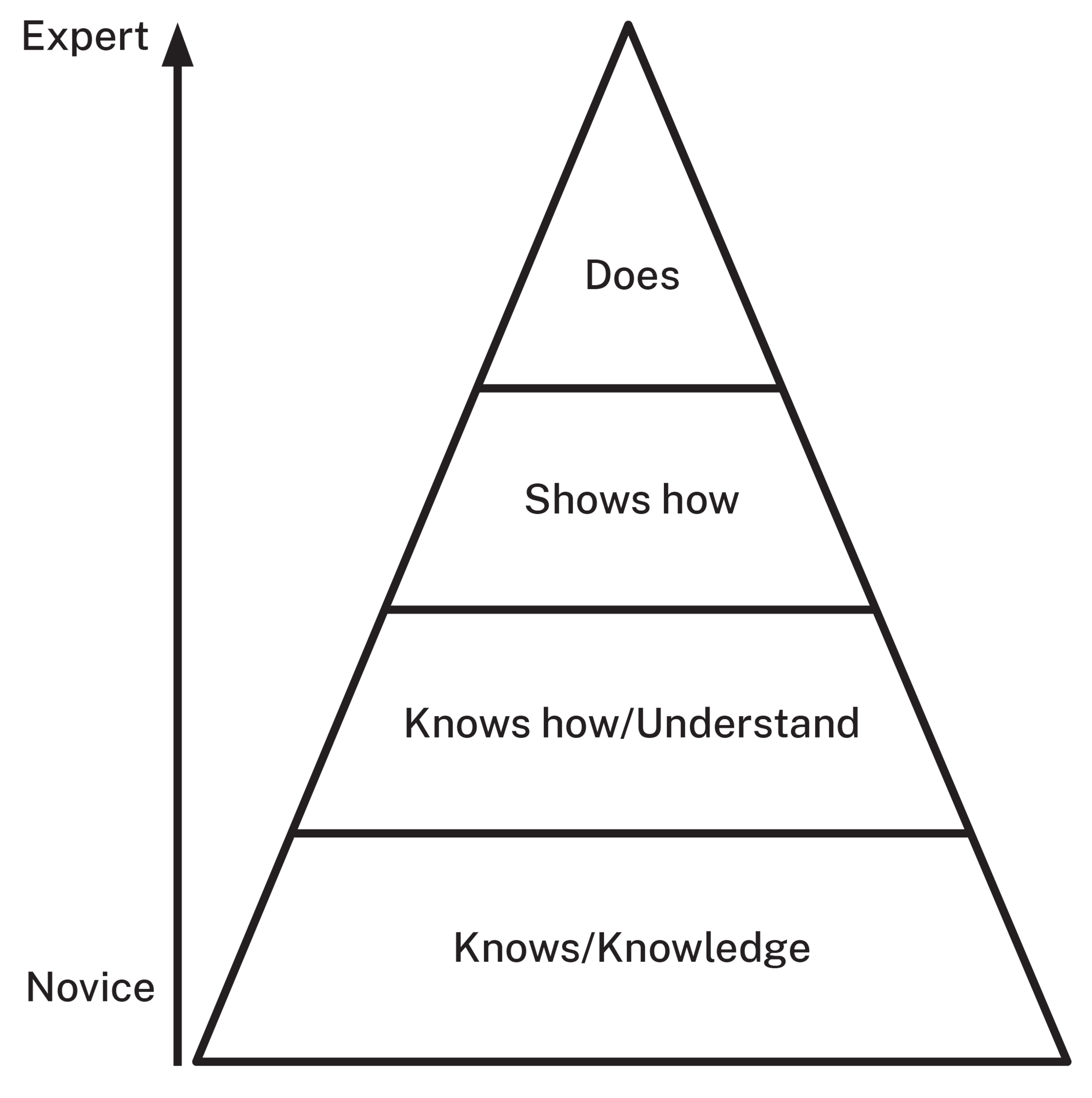 Graphic showing Millers Pyramid. 