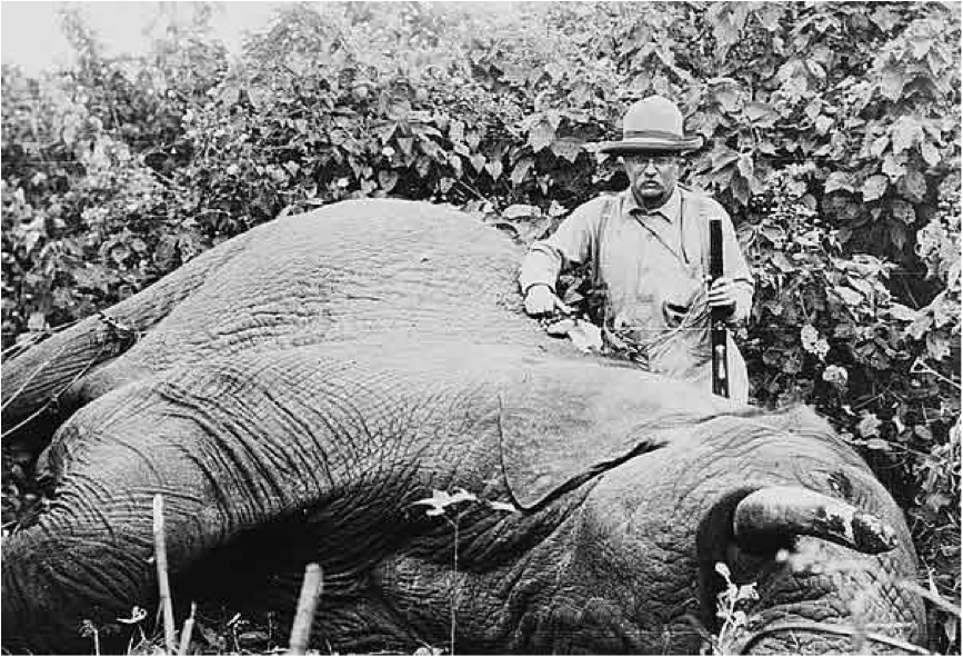 Theodore Roosevelt with deceased elephant, 1909.