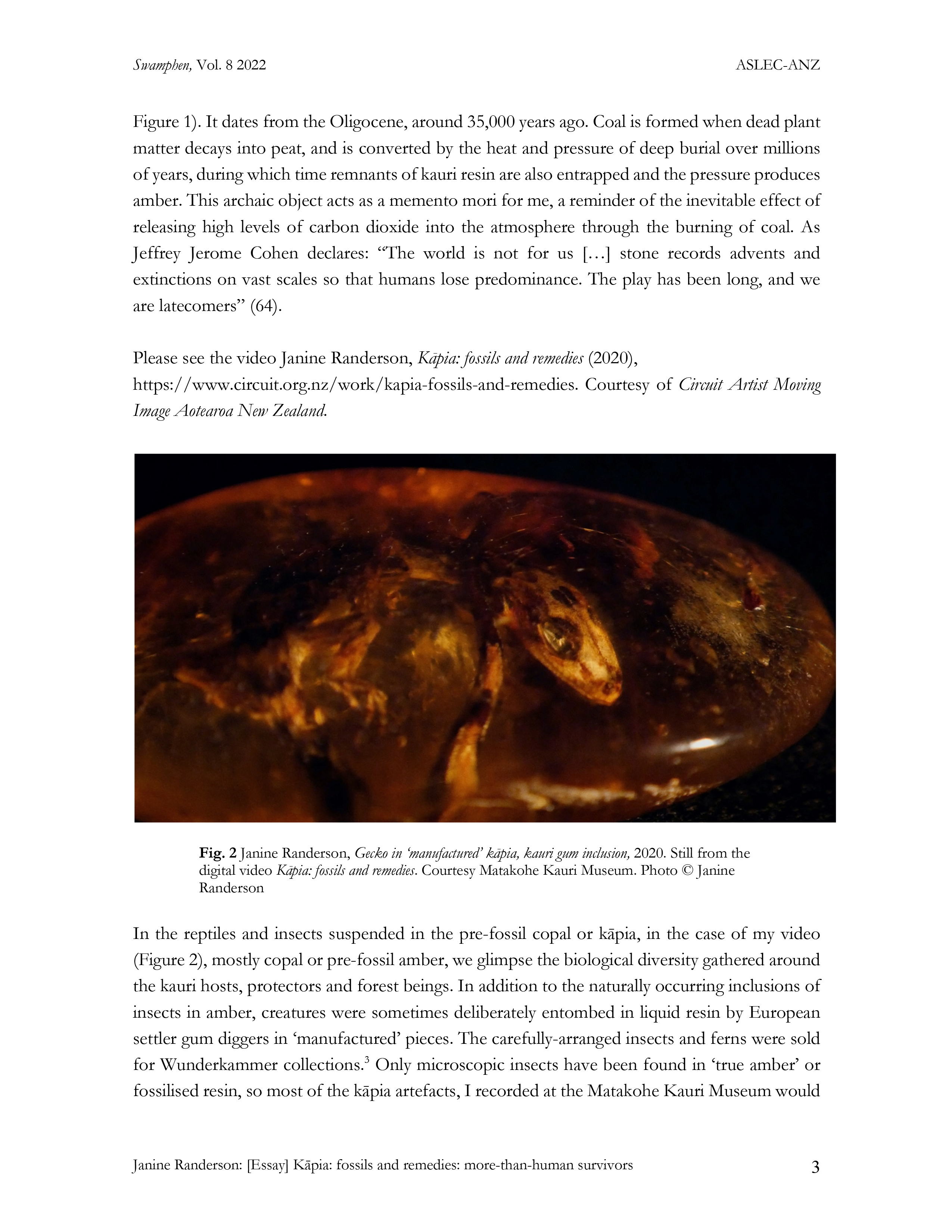 Page 3 of  Kāpia: Fossils and remedies: more-than-human survivors